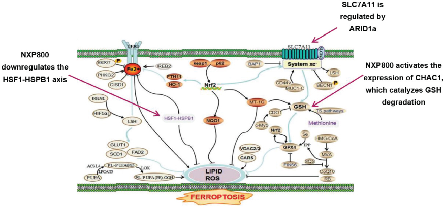 [MISSING IMAGE: tm2123577d1-pht_6fig4clr.jpg]