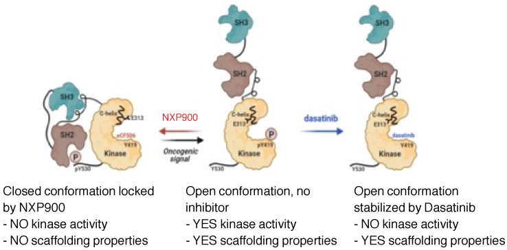 [MISSING IMAGE: tm2123577d2-pht_inhibit4clr.jpg]