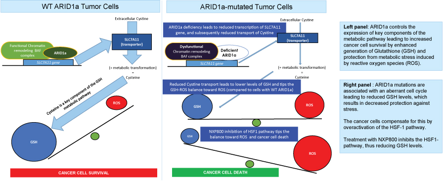 [MISSING IMAGE: tm2134024d7-org_cancer4c.jpg]