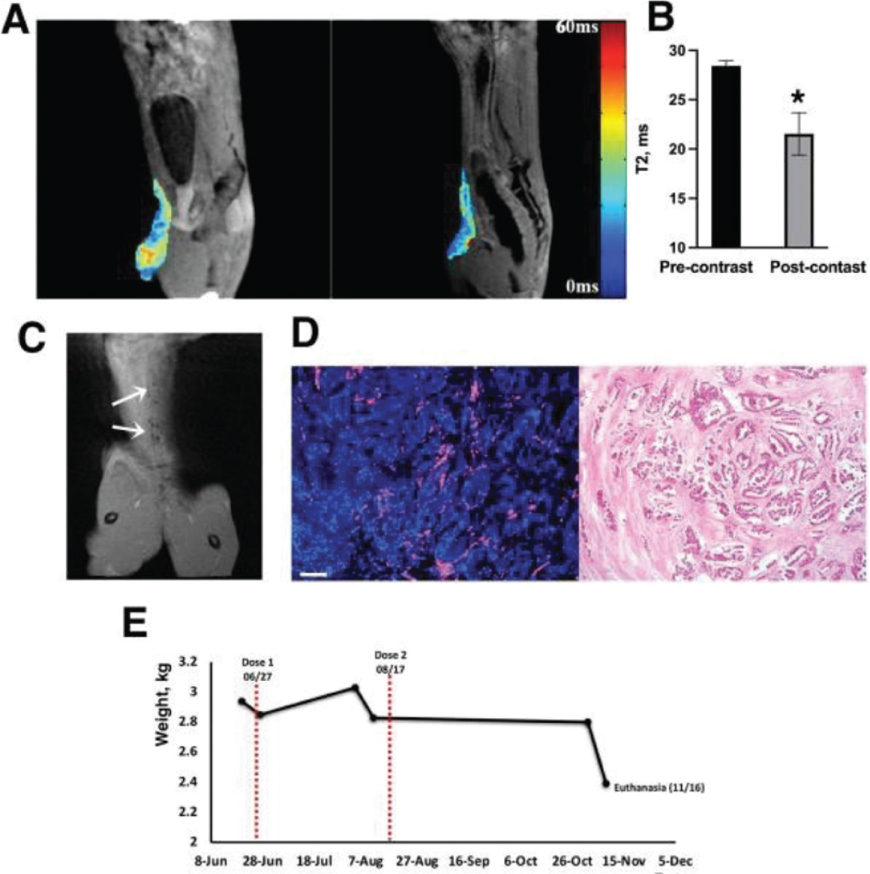 [MISSING IMAGE: tm2221755d4-ph_02fig4c.jpg]