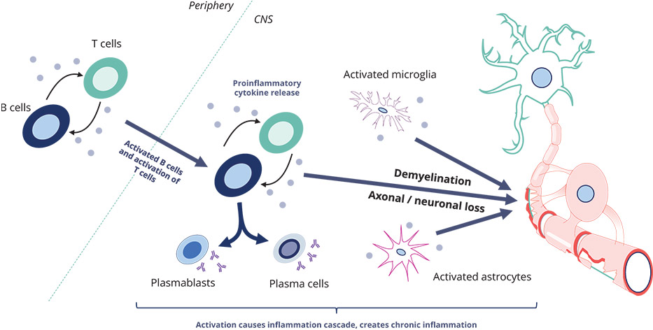 [MISSING IMAGE: org_sclerosis-4c.jpg]