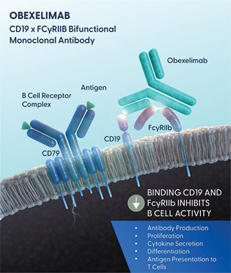 [MISSING IMAGE: pht_obexelimab-4c.jpg]