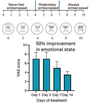 [MISSING IMAGE: bc_figureemotional10-4clr.jpg]