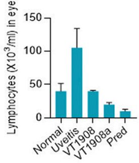 [MISSING IMAGE: lc_figurelyphocytes11-4clr.jpg]