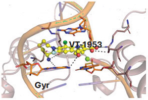 [MISSING IMAGE: ph_figure4-4clr.jpg]