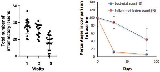 [MISSING IMAGE: lc_figure13-4clr.jpg]