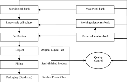 BENDA PHARMACEUTICAL, INC.