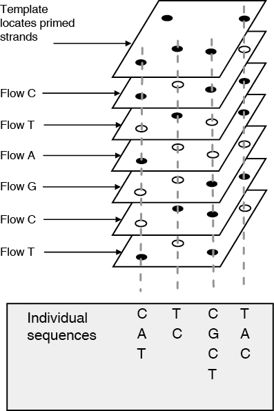 [MISSING IMAGE: tv507078_chrt-flow.jpg]