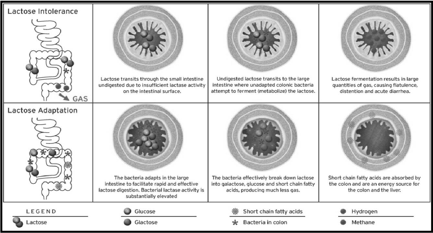 [MISSING IMAGE: t1500165_mechanism.jpg]