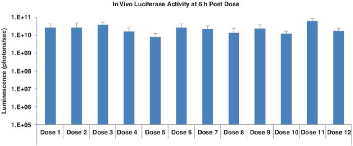 [MISSING IMAGE: t1701925_bar-activity.jpg]