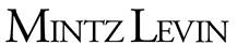 Mintz 2004 logo black
