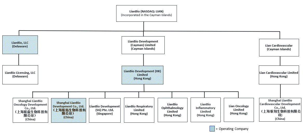 organizationalchart128a.gif