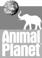 (Animal planet Logo)
