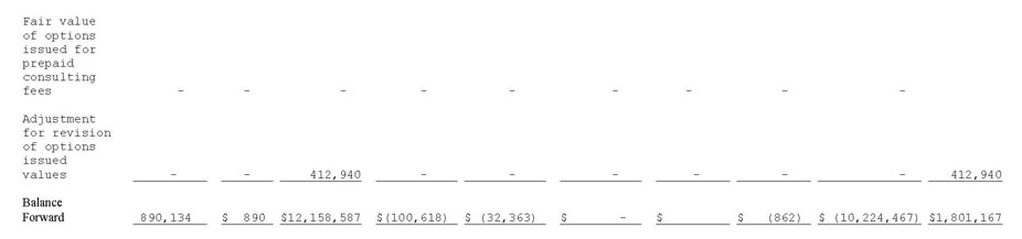 Stockholders Equity