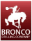 (BRONCO LOGO)